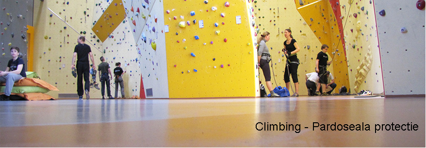 Pardoseli Climbing Safe